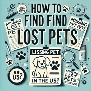How to find lost pets in the US