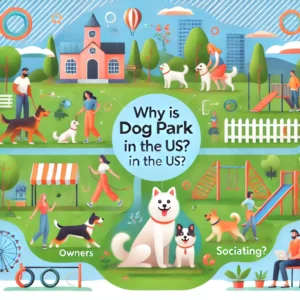 Why are dog parks so popular in the US