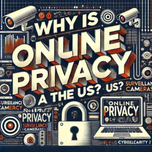 Why is online privacy a concern in the US